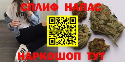 МДПВ Тверь