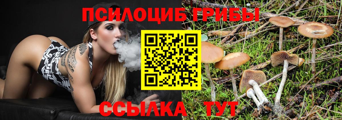 где купить наркоту  Псилоцибиновые грибы Cubensis  Вход с VPN  Мыски 